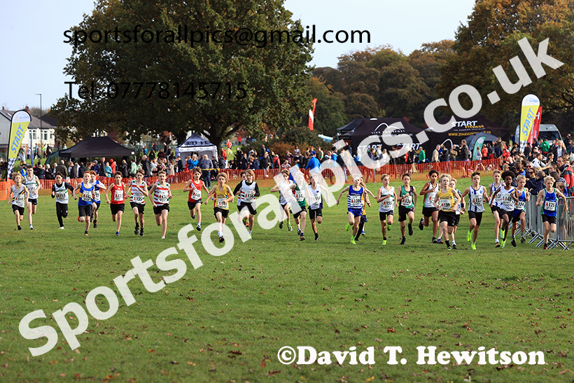Boys under-13s, 2024 Northern Cross Country Relays, Graves Park, Sheffield.   Photo: David T. Hewitson/Sports for All Pics
